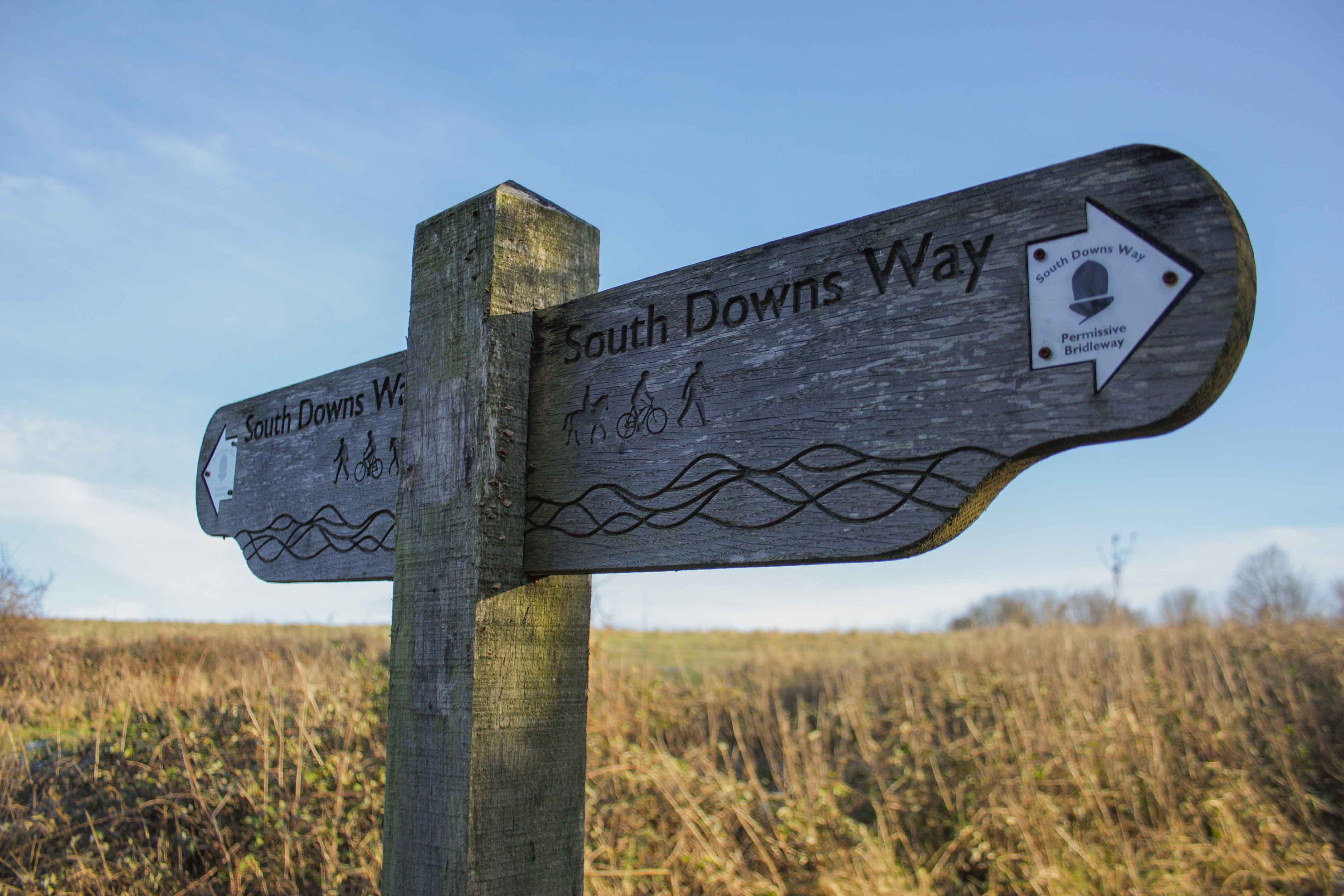 South Downs Way wooden sign